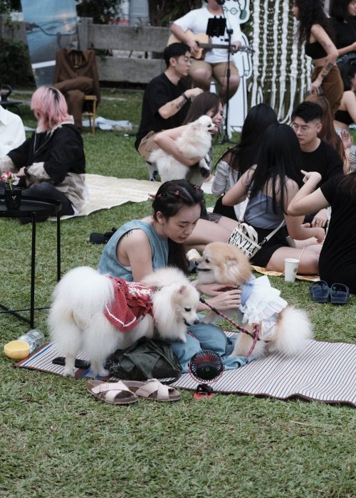 72331133-1733-4FE7-97A8-62727D4DD5E4-2165-00000BB90B5921E4