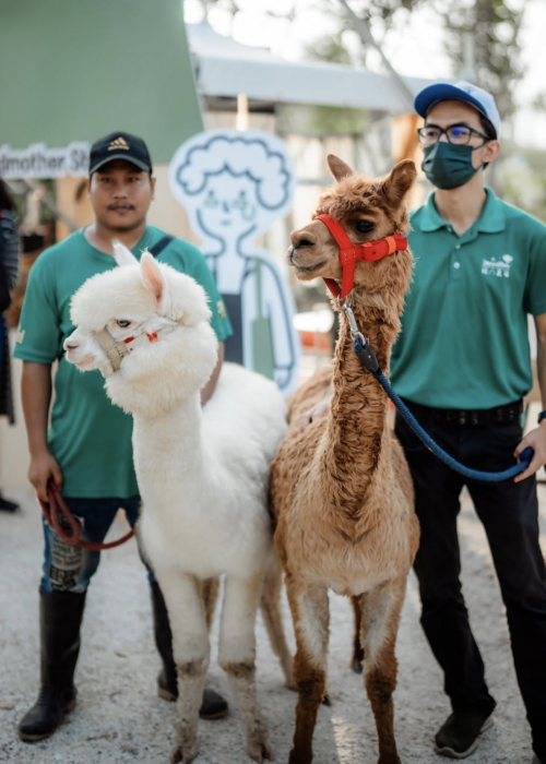 Screenshot 2025-06-24 at 10.49.26 AM